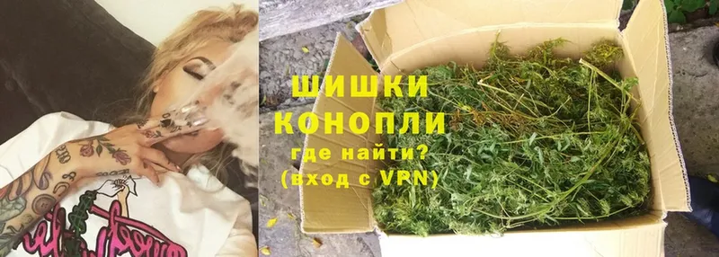 Бошки марихуана THC 21%  Куртамыш 